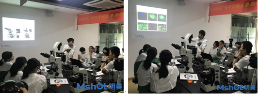 同學(xué)們認(rèn)真聽(tīng)講