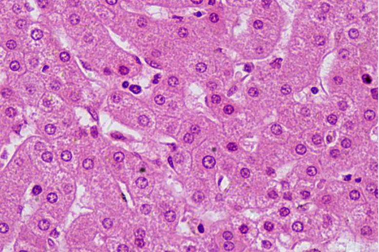 只爭朝夕，不負韶華|明美光電年度會議成功召開