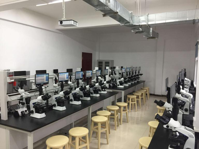 明美顯微鏡相機(jī)