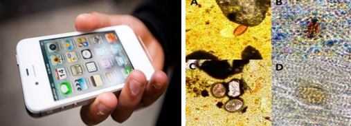 �����֙C�����锵(sh��)�a�@΢�R