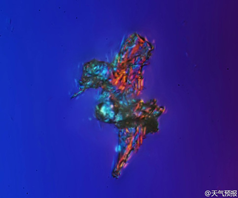 �@΢�R�µı����F���w��