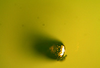 ᘼ��Ĕz�D�@΢�DƬ