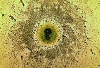 ��W�Ĥ�@΢�DƬ