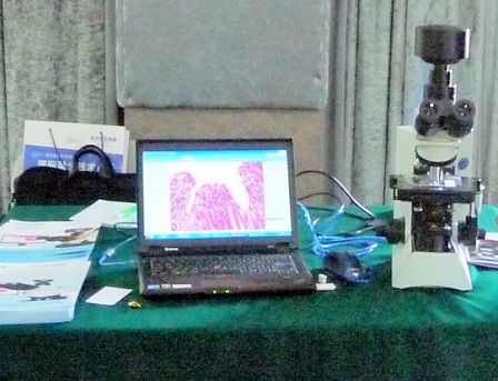 �V������