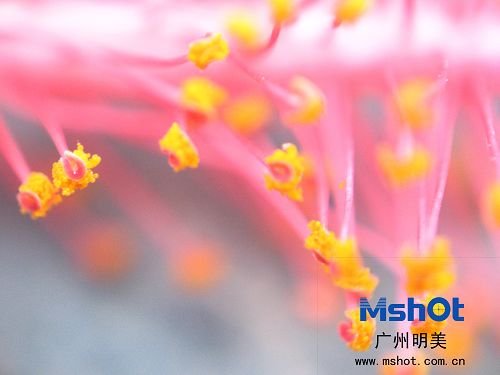 �@΢�R��(sh��)�a���C(j��)