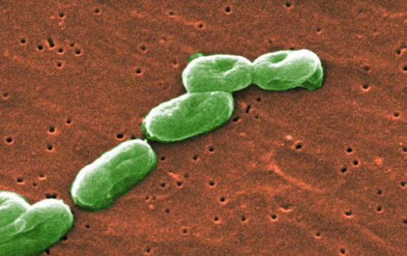 �@΢�R�µļ���